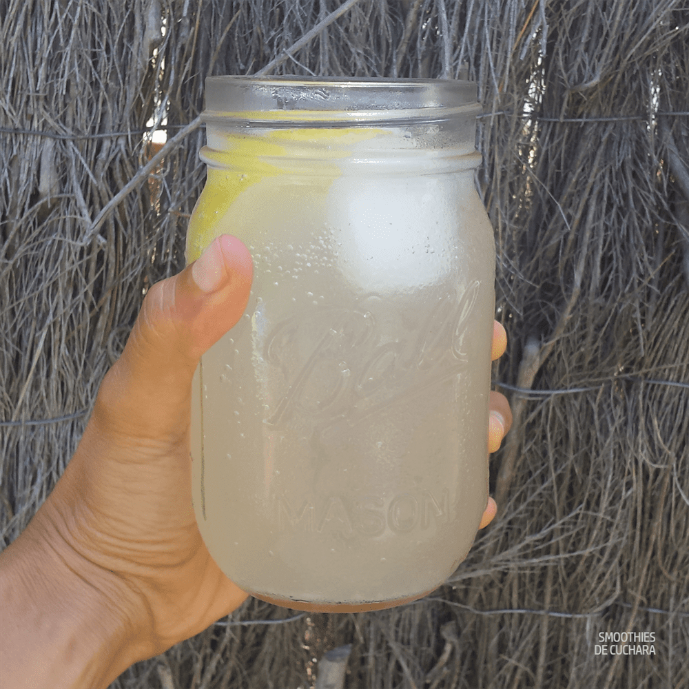 Invo Agua de Coco: Beneficios, Propiedades y Delicioso Sabor Refrescante para Hidratarte Naturalmente