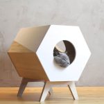 Casa para gatos exterior segunda mano: Encuentra increíbles ofertas en casas para gatos usadas