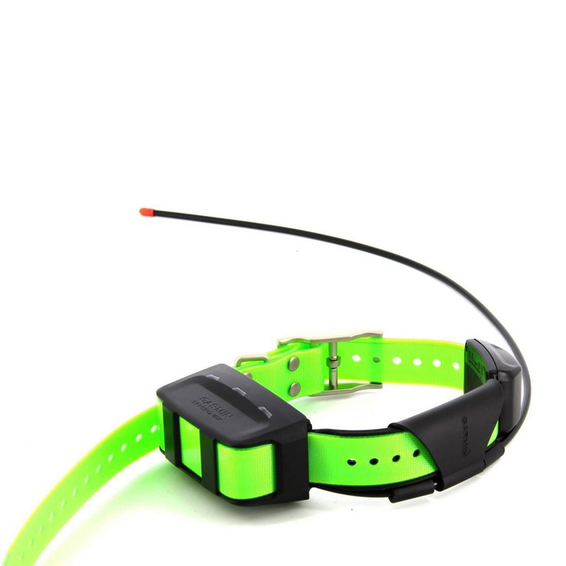 Collar Garmin TT15 Decathlon: La solución perfecta para el seguimiento y control de tu perro