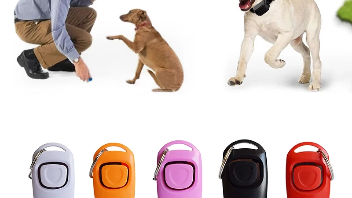 Silbato ahuyenta perros Decathlon: la solución efectiva para controlar el  comportamiento de tus mascotas