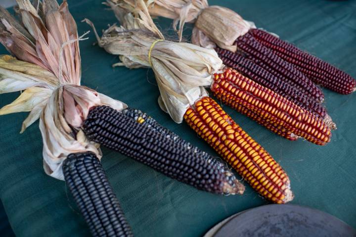 Haz deliciosos talos con harina de maíz para talos Eroski: la opción perfecta para disfrutar de auténticos sabores tradicionales